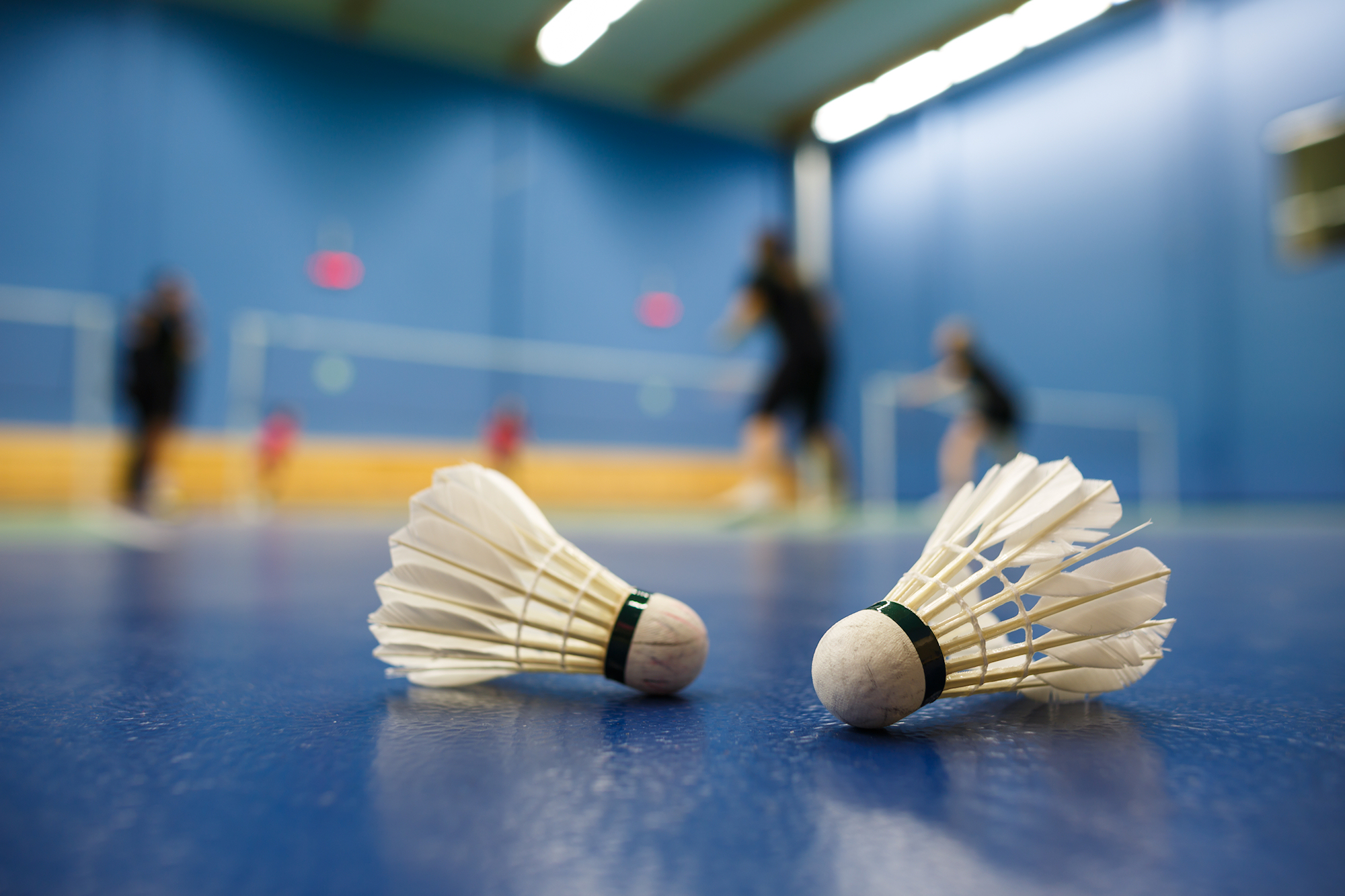 Badminton USF Omnisports